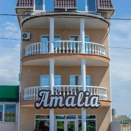 Amalia Hotel Zaliznyy Port Exterior photo